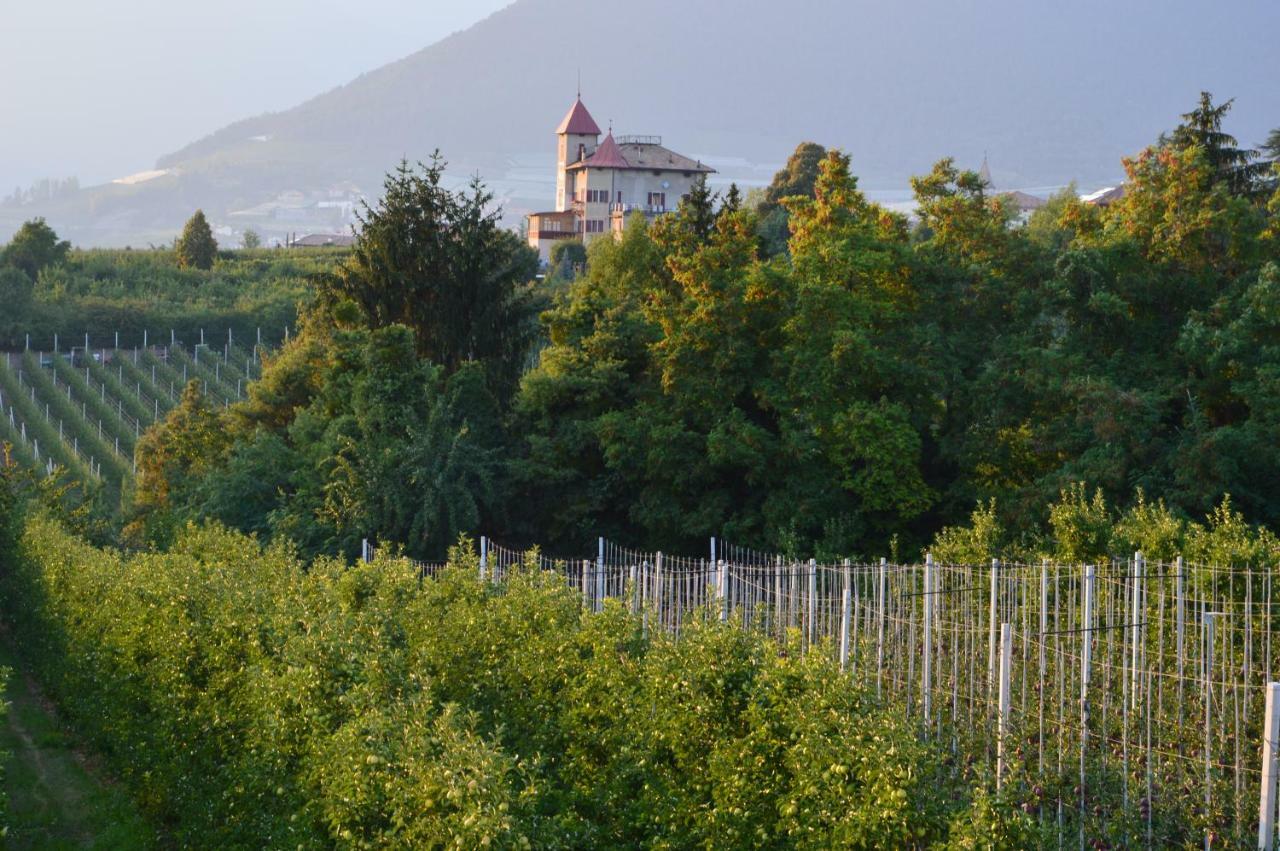 Il Nido Dei Sogni Sanzeno 아파트 외부 사진